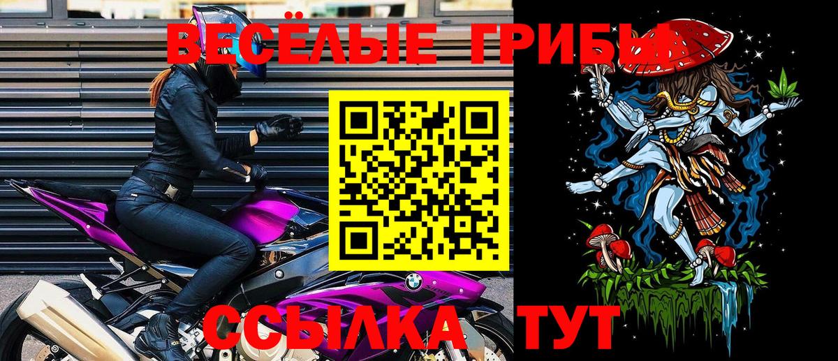 Галлюциногенные грибы GOLDEN TEACHER Обнинск