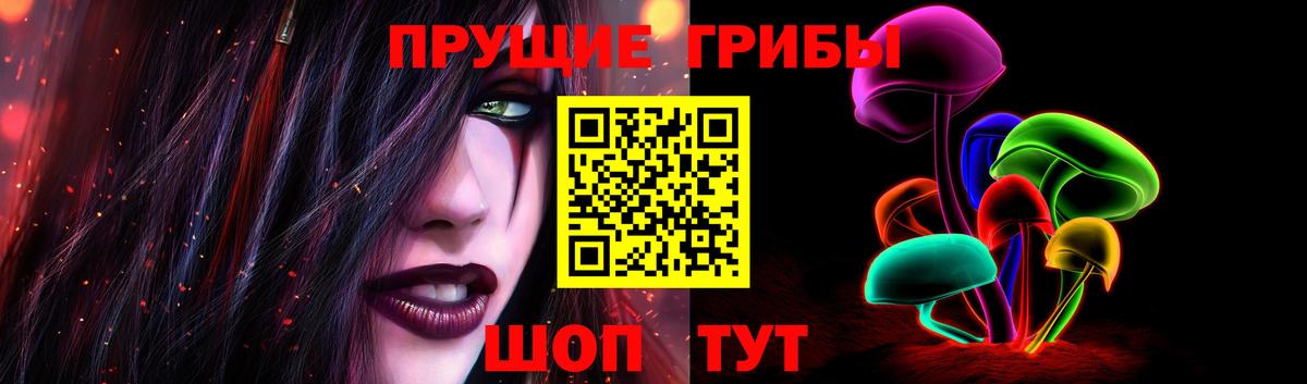 Обнинск  Галлюциногенные грибы Psilocybe  Вход с VPN 